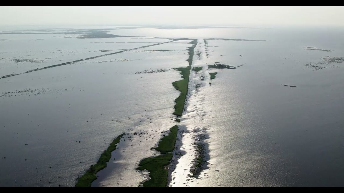 Nicholls Releases Hurricane Ida Documentary Trailer