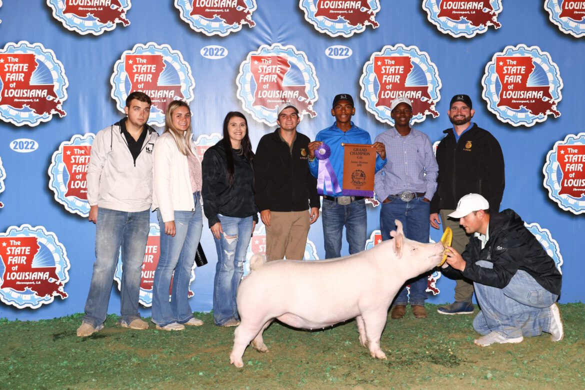State Fair Gilt