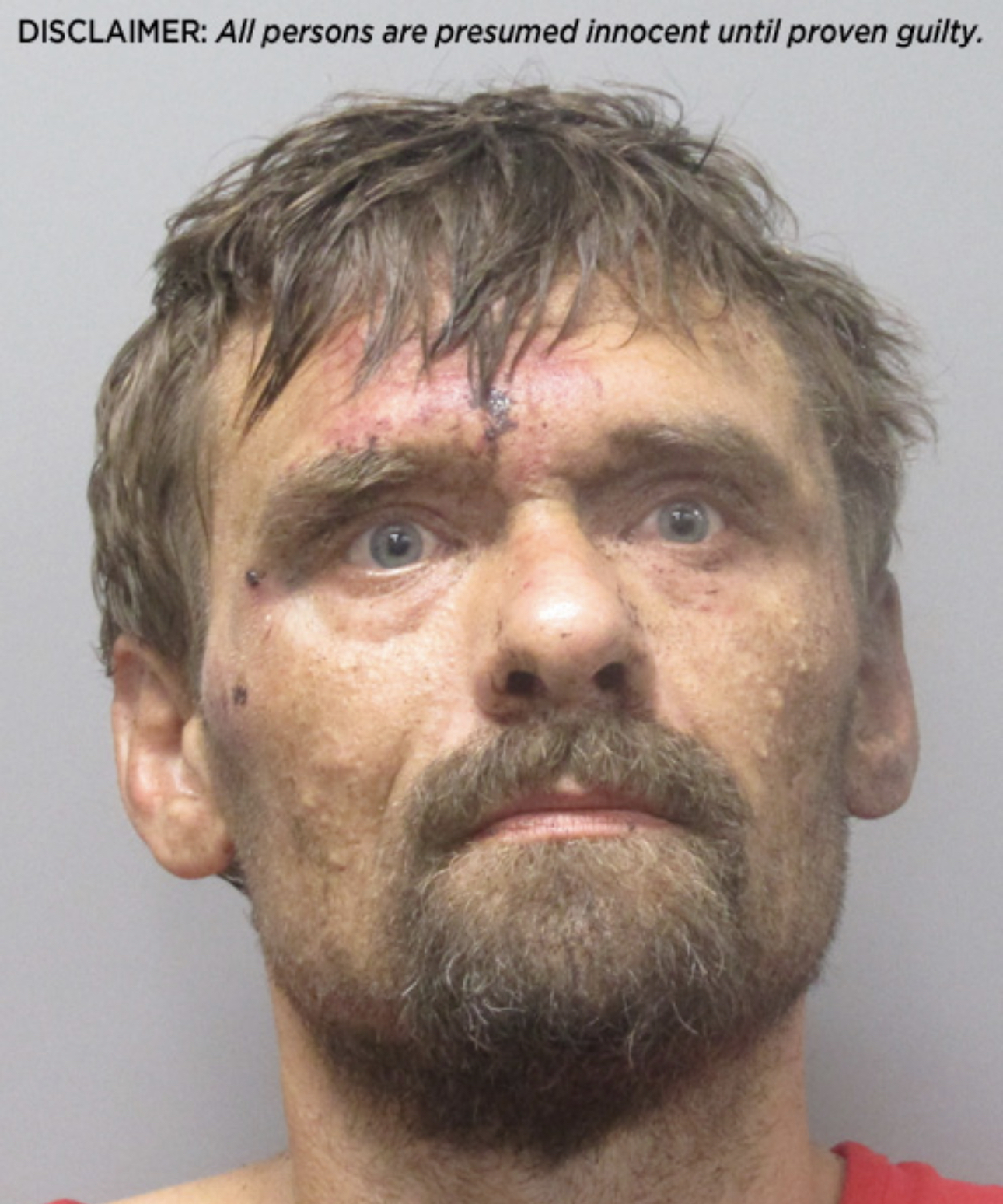 Morgan City Arrest Report - nipxvoo