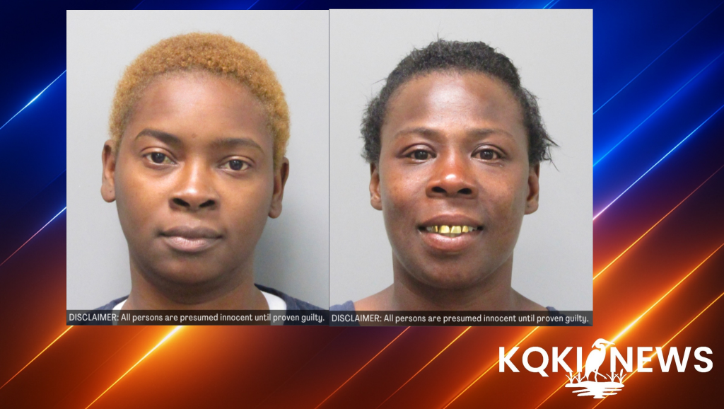 Two Women Arrested in Theft and Credit Card Fraud Case Involving ...